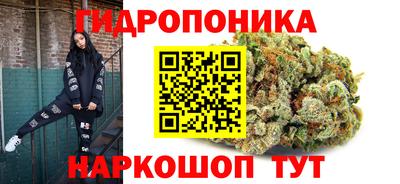 прущие крисы Ачхой-Мартан