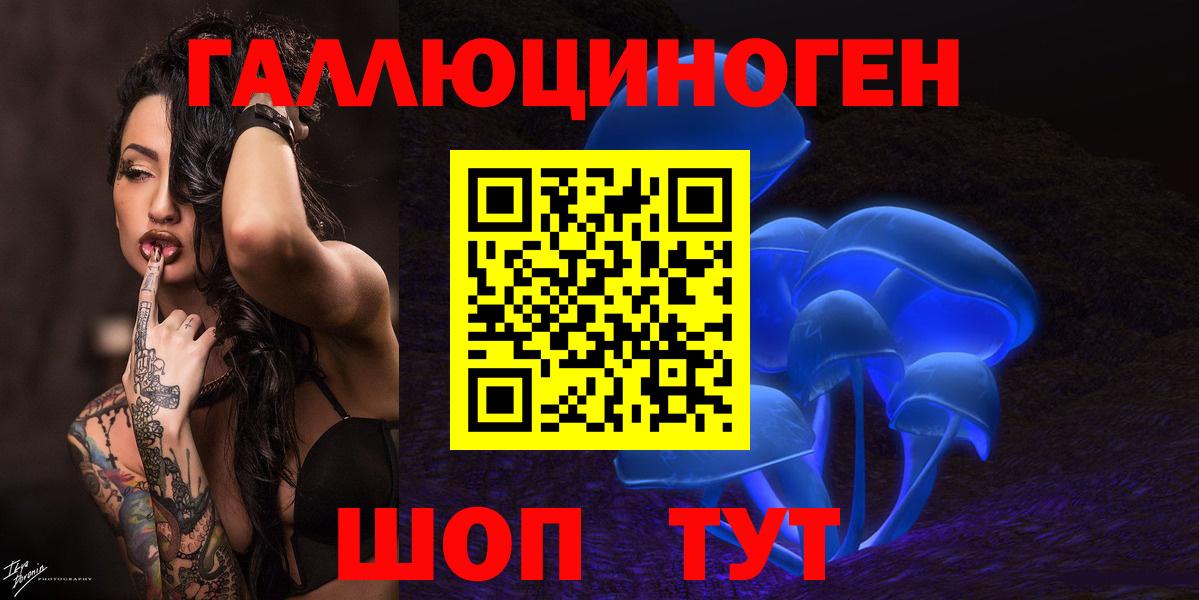 Галлюциногенные грибы Psilocybe  Вход с VPN  Надым 